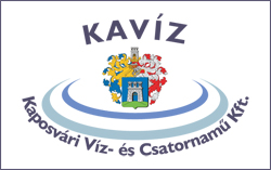kaviz-logo.jpg